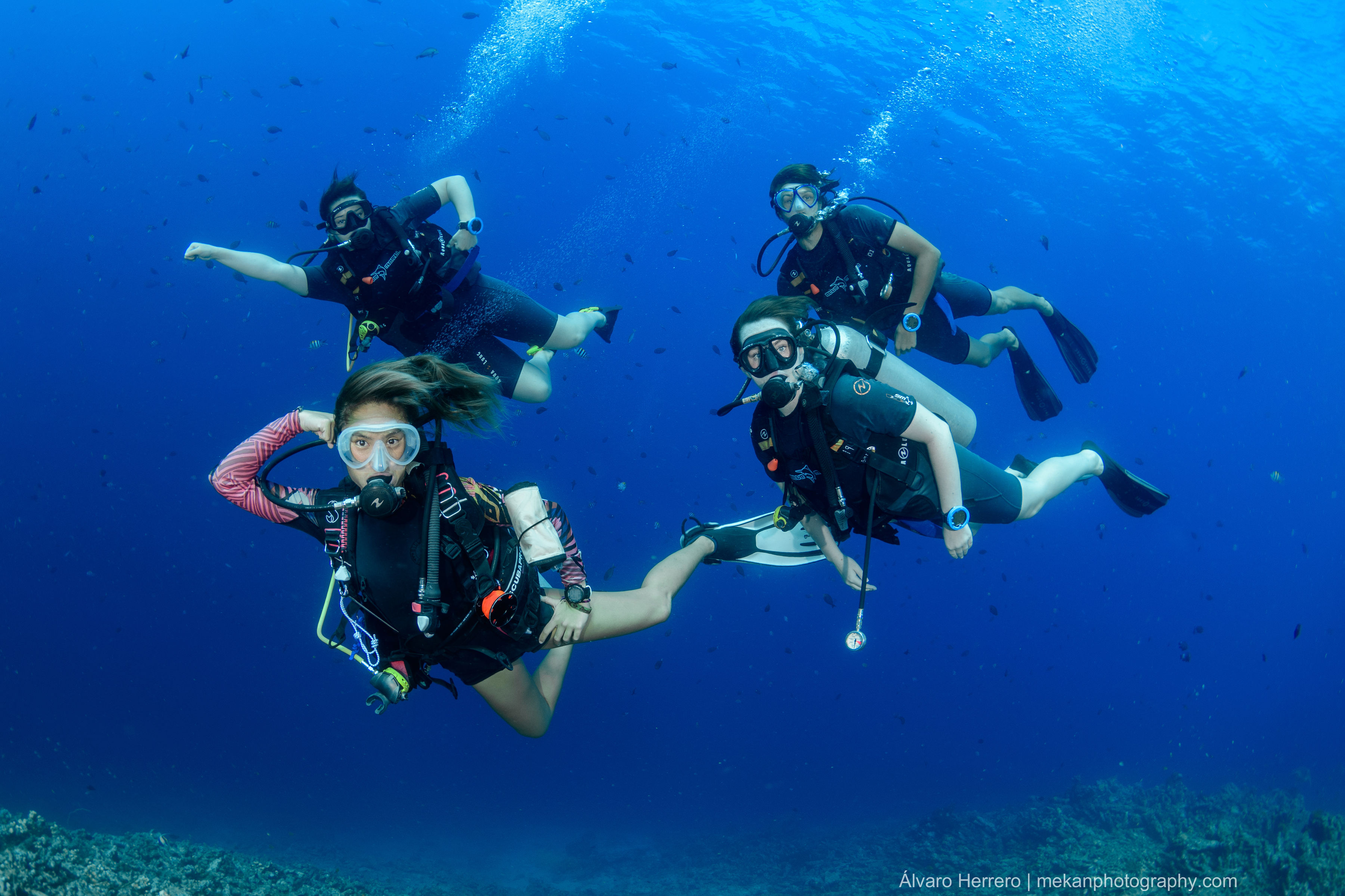 Blue Marlin Dive Gili Trawangan