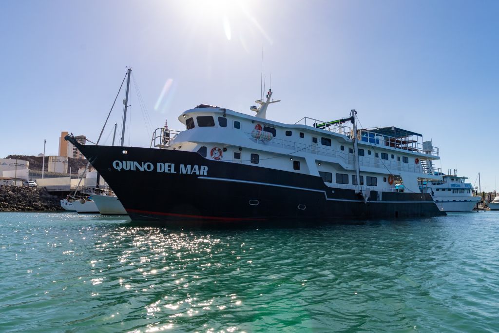 Quino del Mar Liveaboard