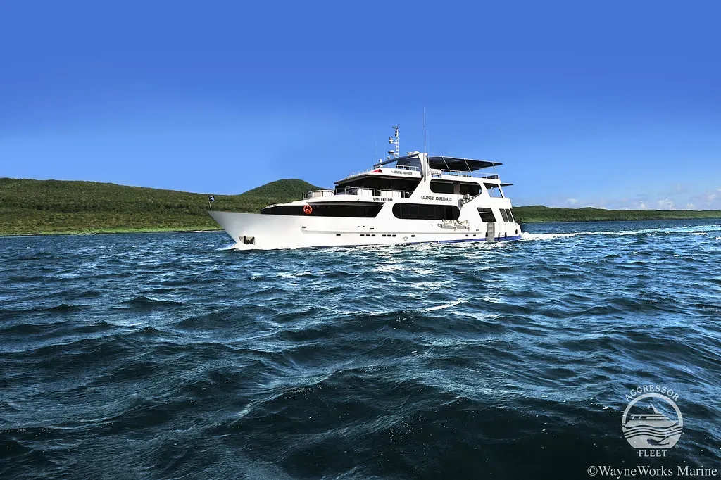 www.bluewaterdivetravel.com
