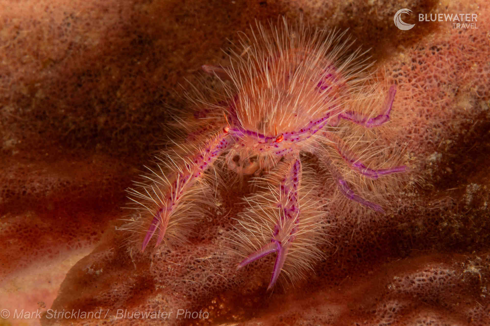 Dumaguete Trip Report 2025