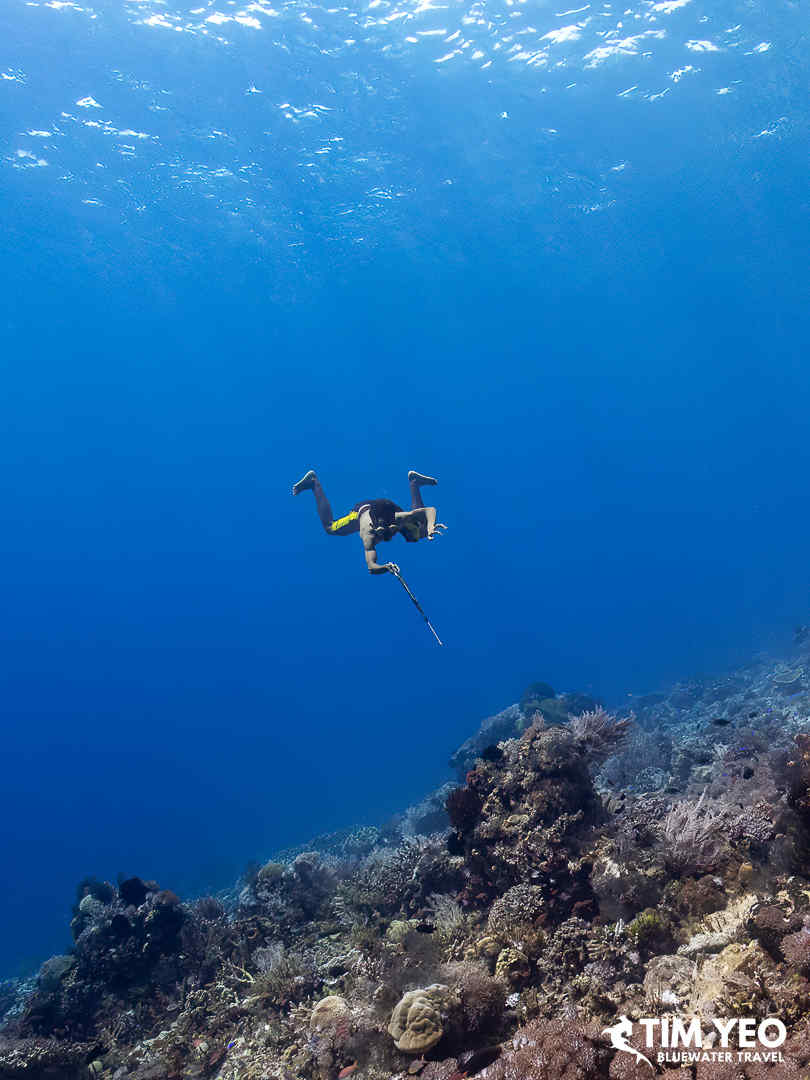Spearfishing in Alor