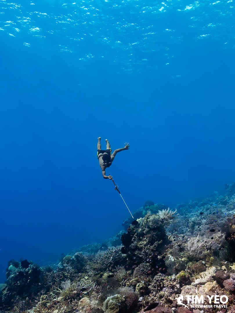 Spearfishing in Alor