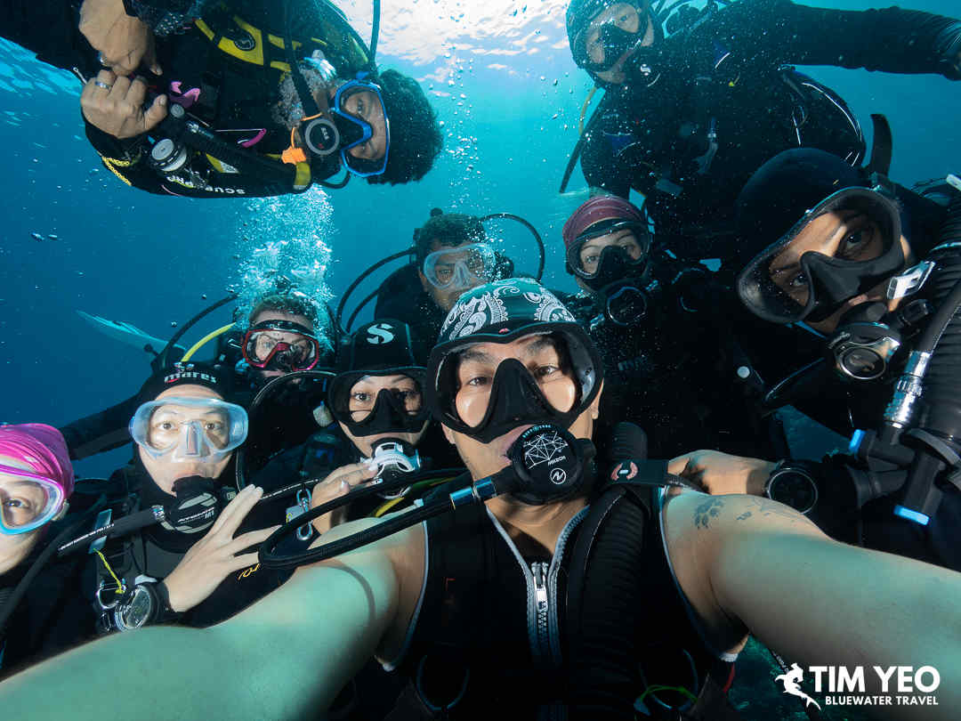 Group Photos Underwater