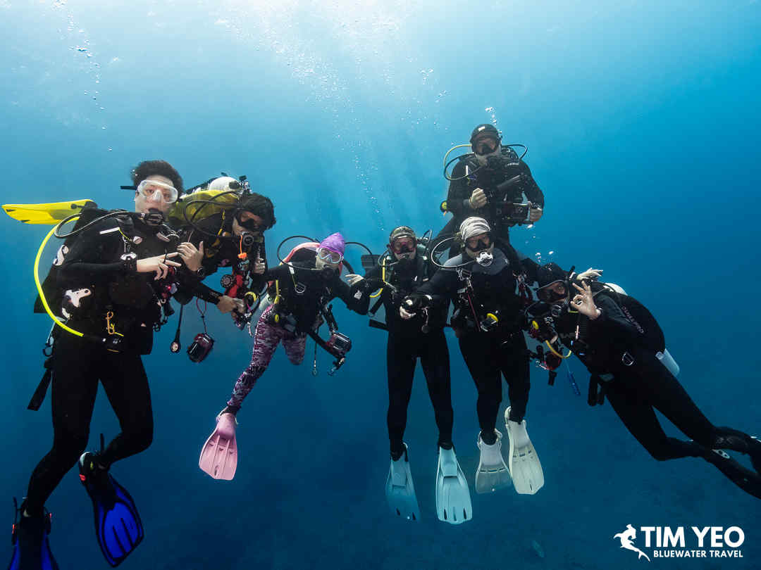 Group Photos Underwater