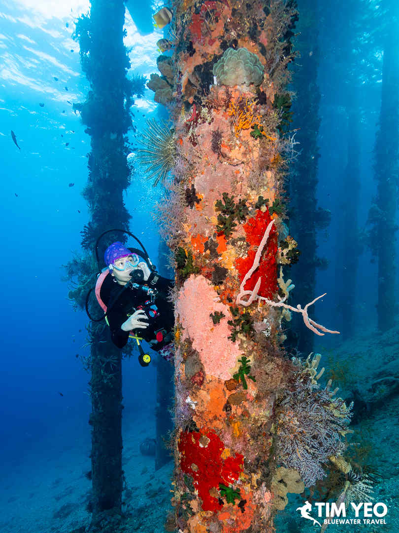 Exploring under the pier