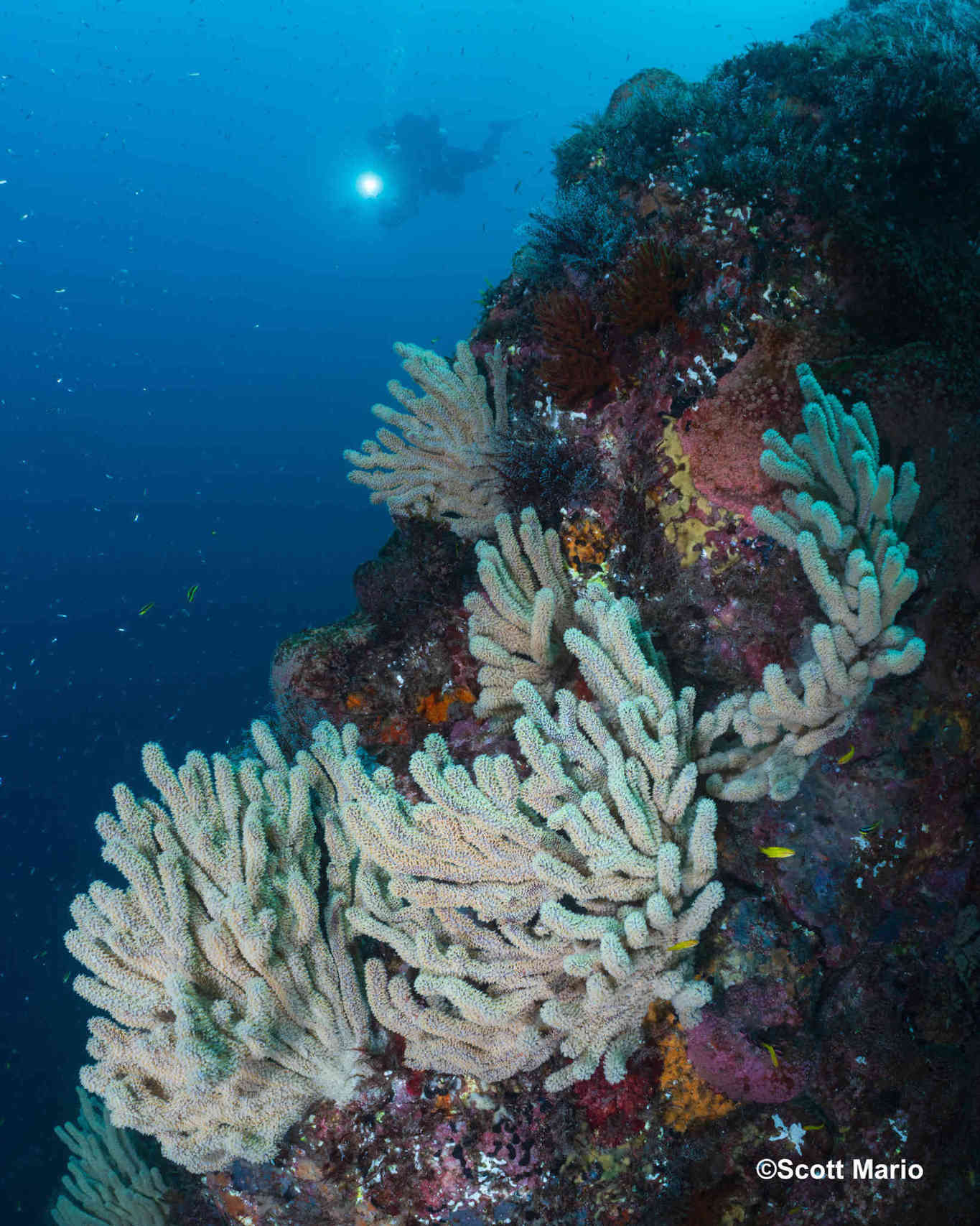 wide angle photography