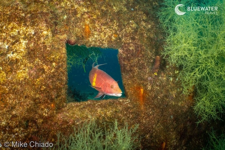 A fish swims through a square hole