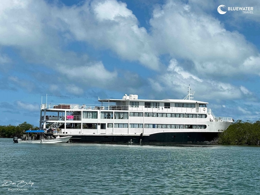 Exterior of the Avalon IV