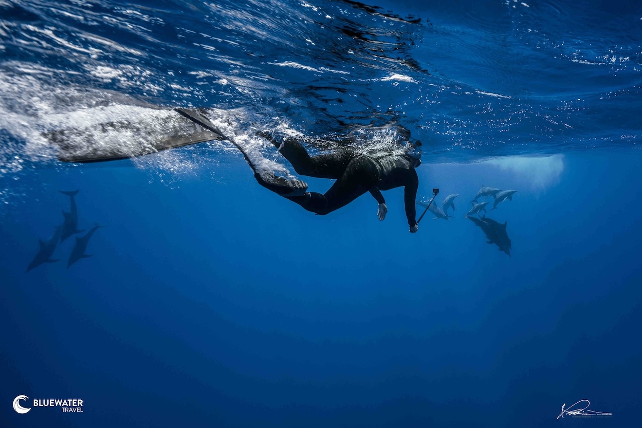 Up-close encounters with whales