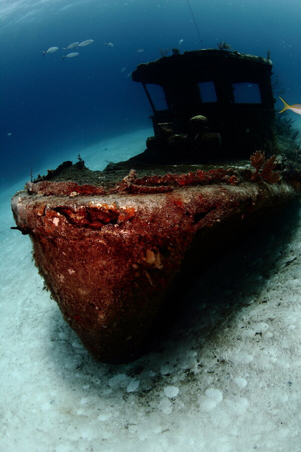 Reef Oasis Dive Club Viva Bahamas