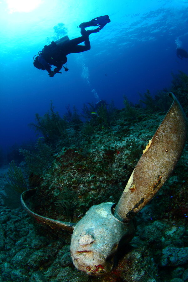 Reef Oasis Dive Club Viva Bahamas