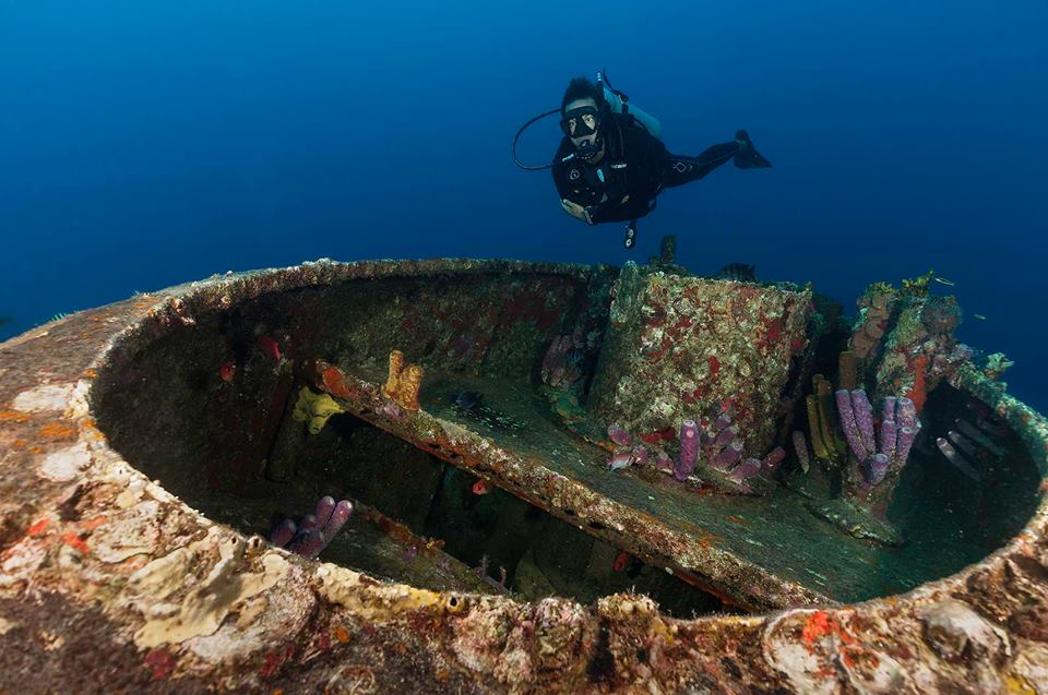 Reef Oasis Dive Club Viva Dominican