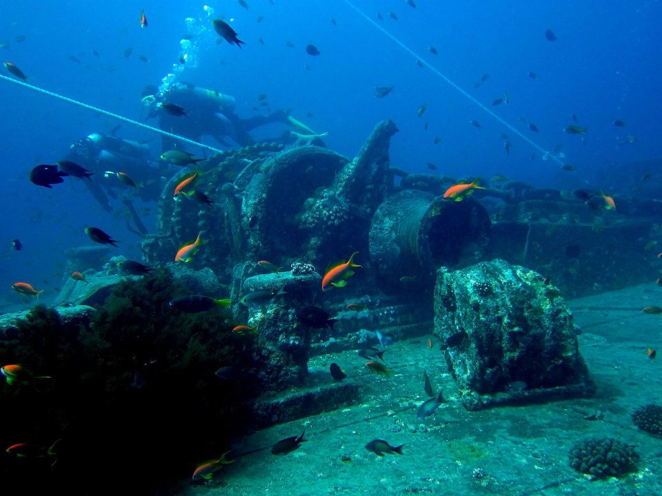 Reef Oasis Dive Club Sharm El Sheikh