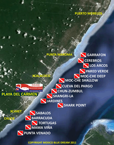 Playa del Carmen Dive Sites