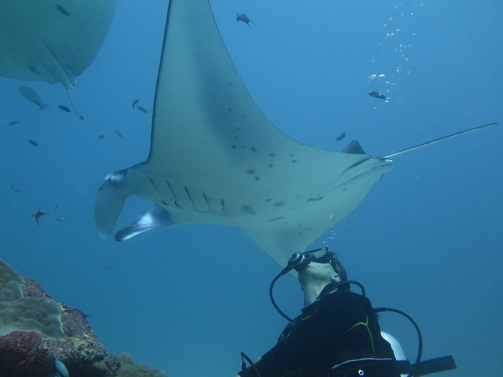 South Ari Dive Center Maldives underwater photo