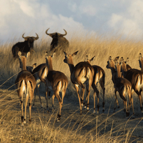 ScubaCo Diving & Travel