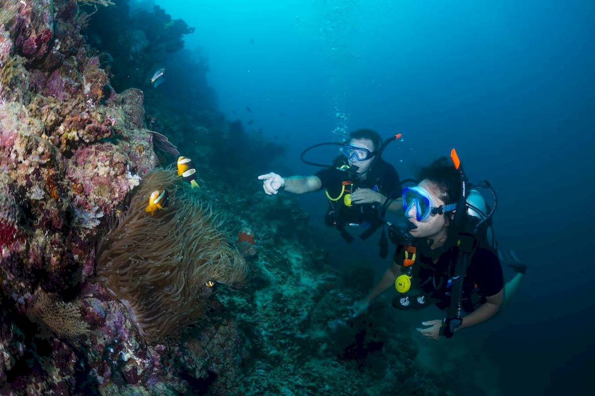 Menjangan Dynasty Resort