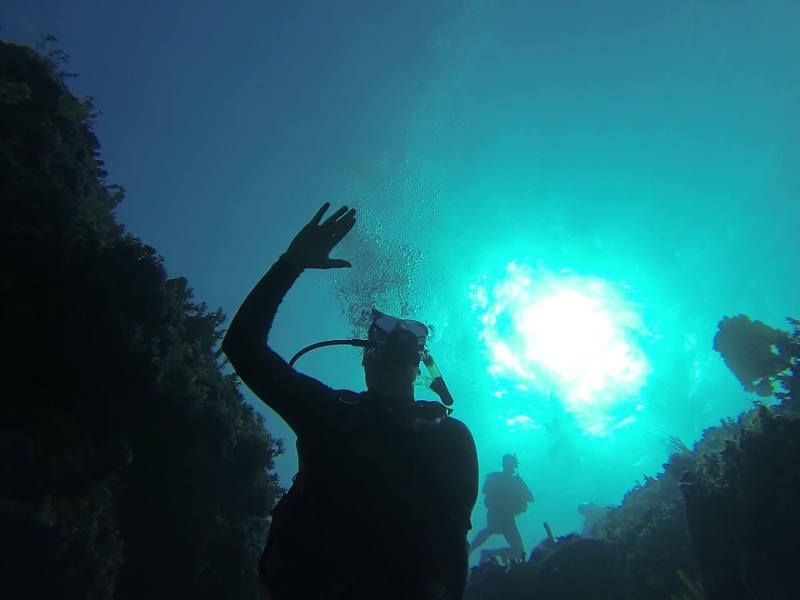 Dressel Divers Montego Bay