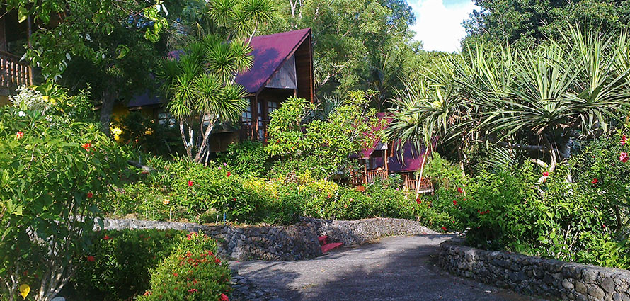 Jim Abernethy's Scuba Adventures