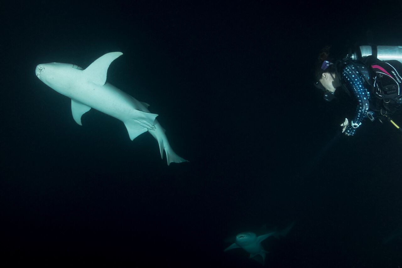 Fulidhoo Dive Maldives
