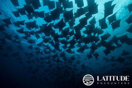Latitude Encounters