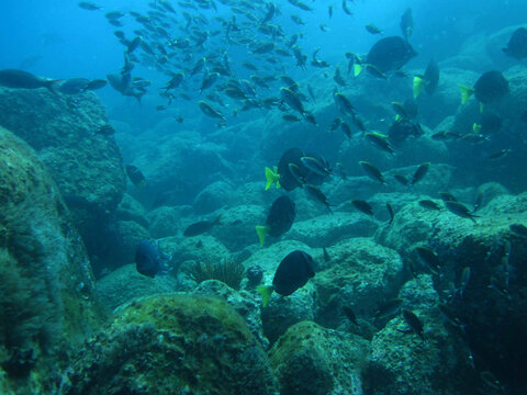 Loreto Sea and Land Tours