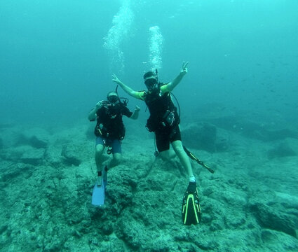 Loreto Sea and Land Tours