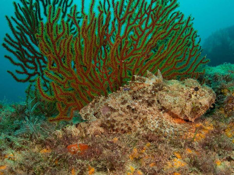 Loreto Sea and Land Tours