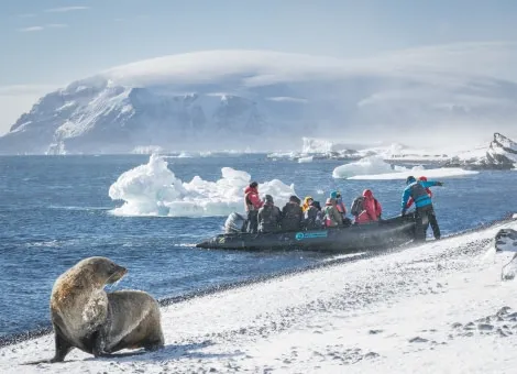 An expedition goes onshore