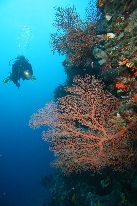 Sea Safari VII Liveaboard