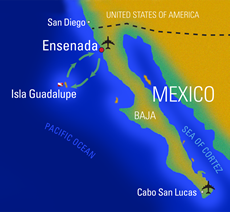 Guadalupe map