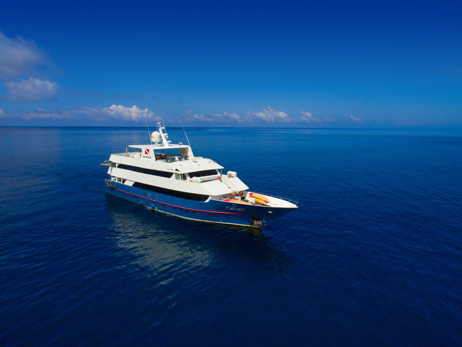 Calipso – Galapagos