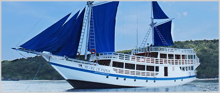 liveaboard diving