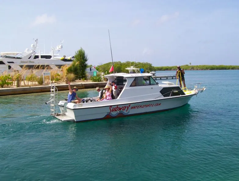 turquoise-diving-02.jpg