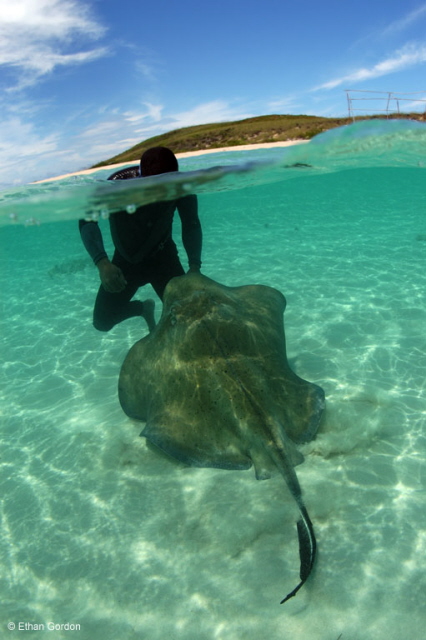 Bohio Dive Resort Underwater Photo by Ethan Gordon Bohio Dive Resort Underwater Photo by Ethan Gordon