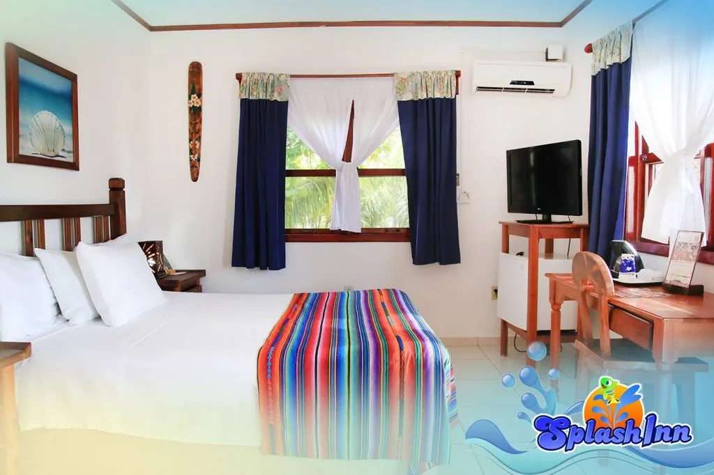 SIR-room-5.jpg