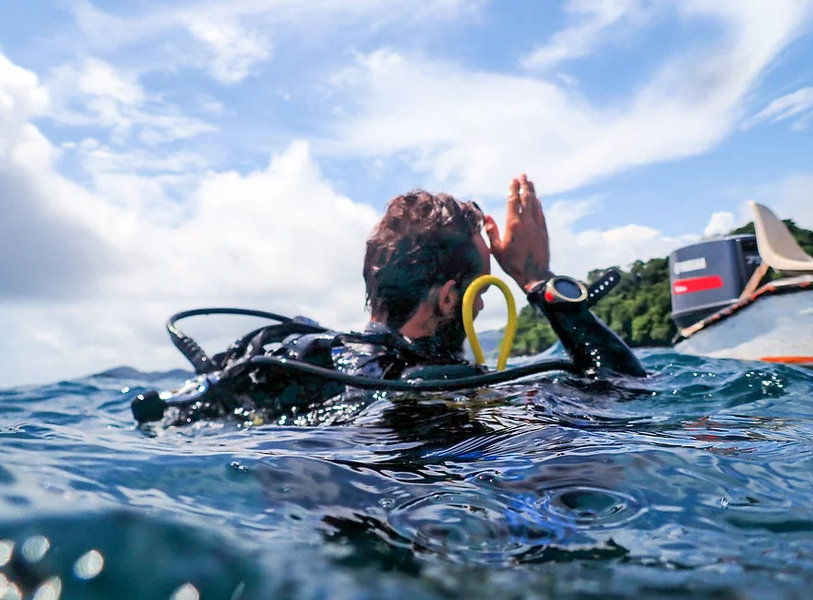 The Ark Divers Panama